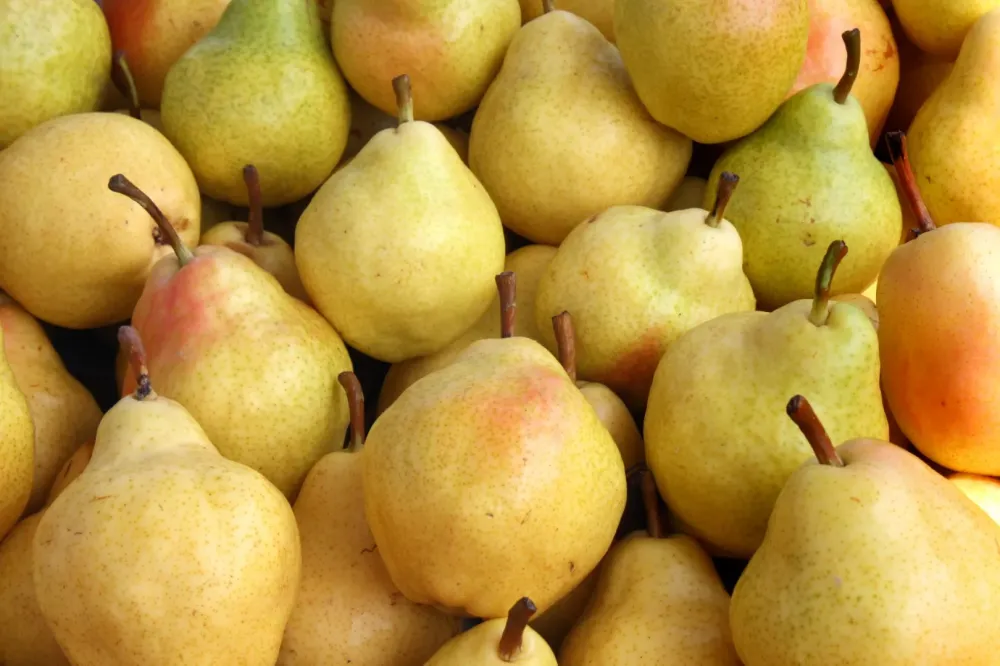 Commande fruits professionnels près de Septèmes-les-Vallons