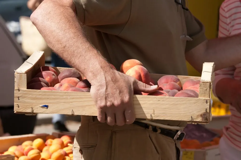 Vente de fruits aux professionnels près de Septèmes-les-Vallons